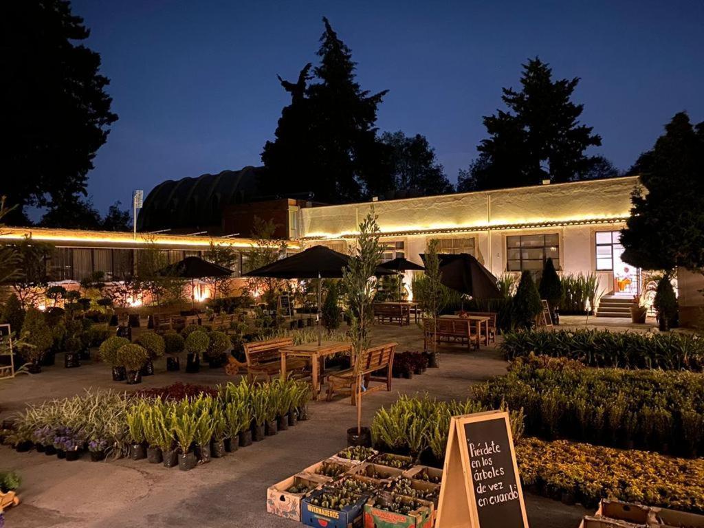 Hotel Express Quinta Soledad 멕시코 시 외부 사진