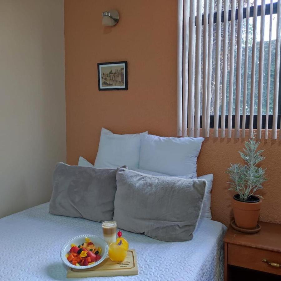 Hotel Express Quinta Soledad 멕시코 시 외부 사진