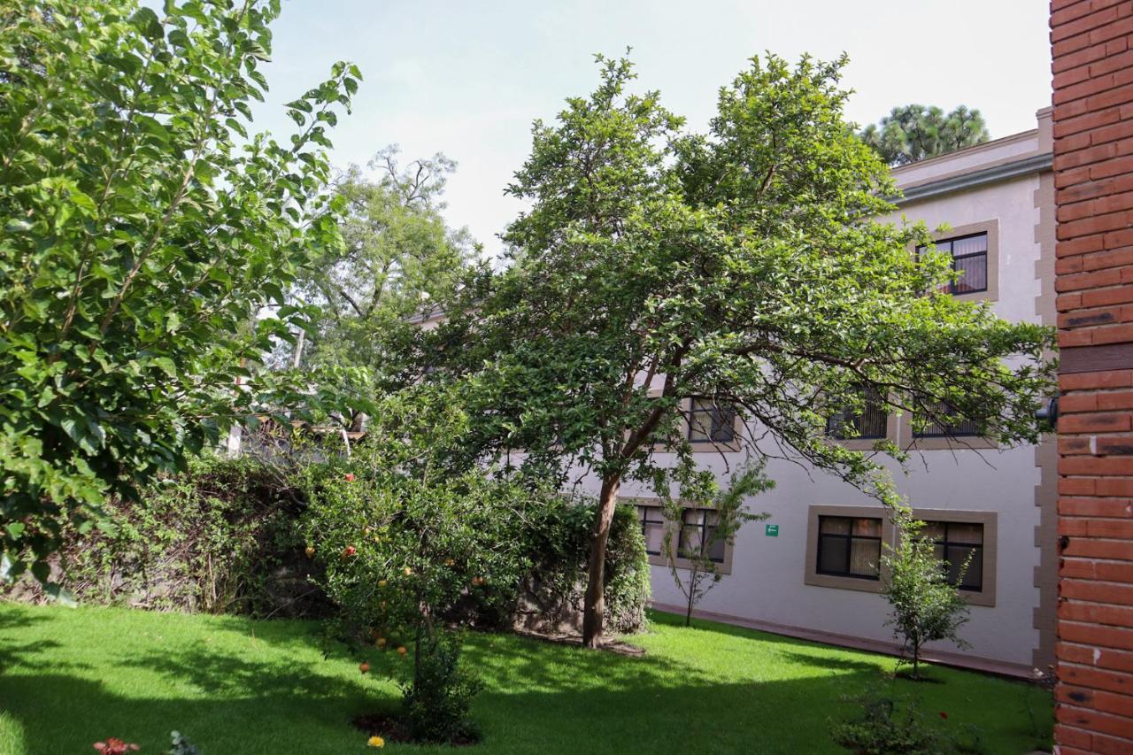 Hotel Express Quinta Soledad 멕시코 시 외부 사진