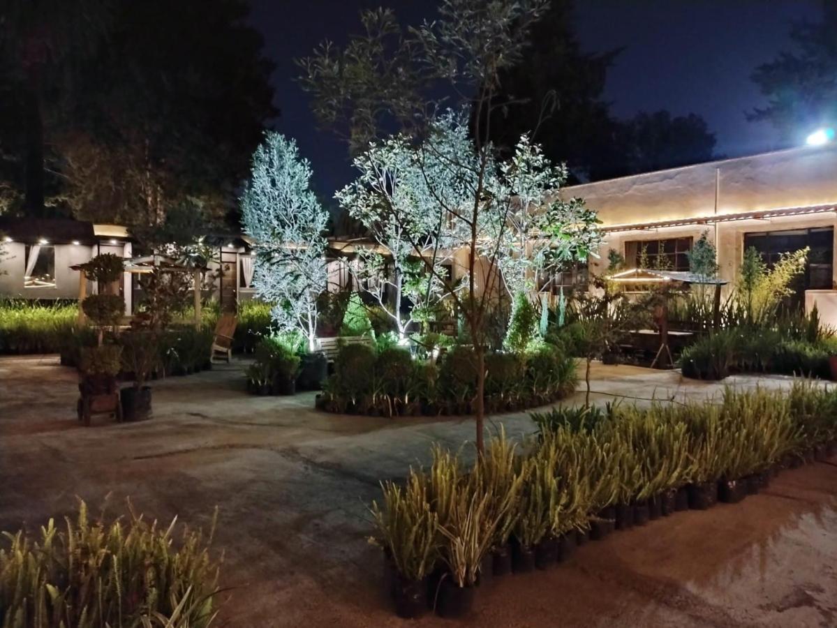 Hotel Express Quinta Soledad 멕시코 시 외부 사진