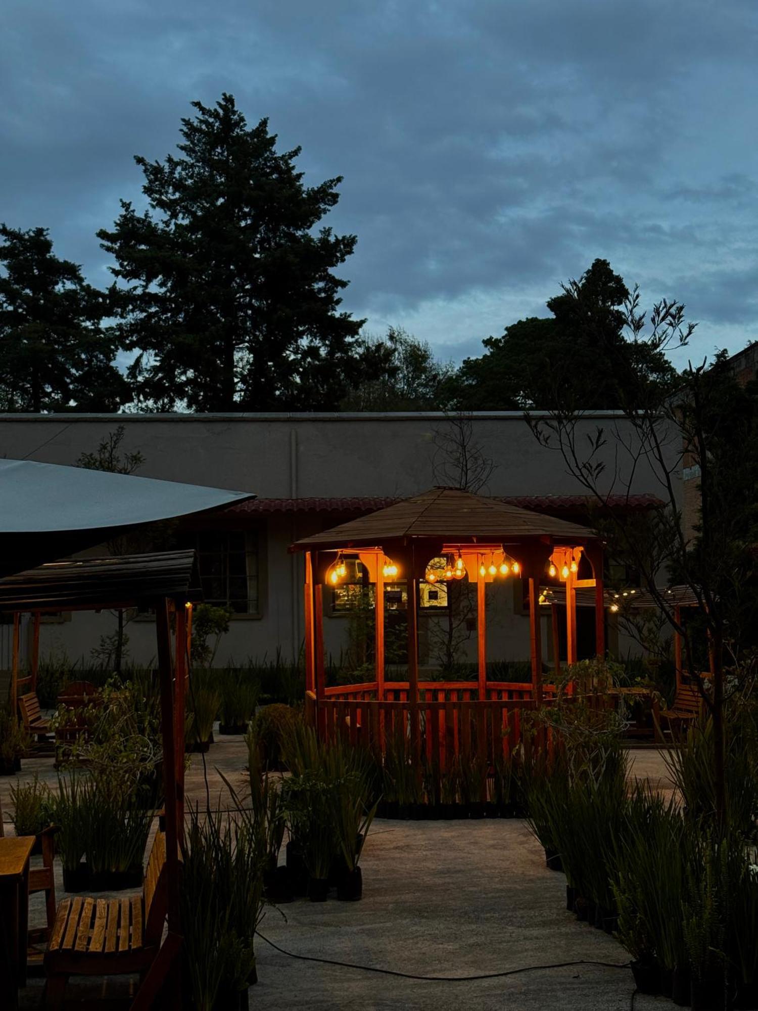 Hotel Express Quinta Soledad 멕시코 시 외부 사진