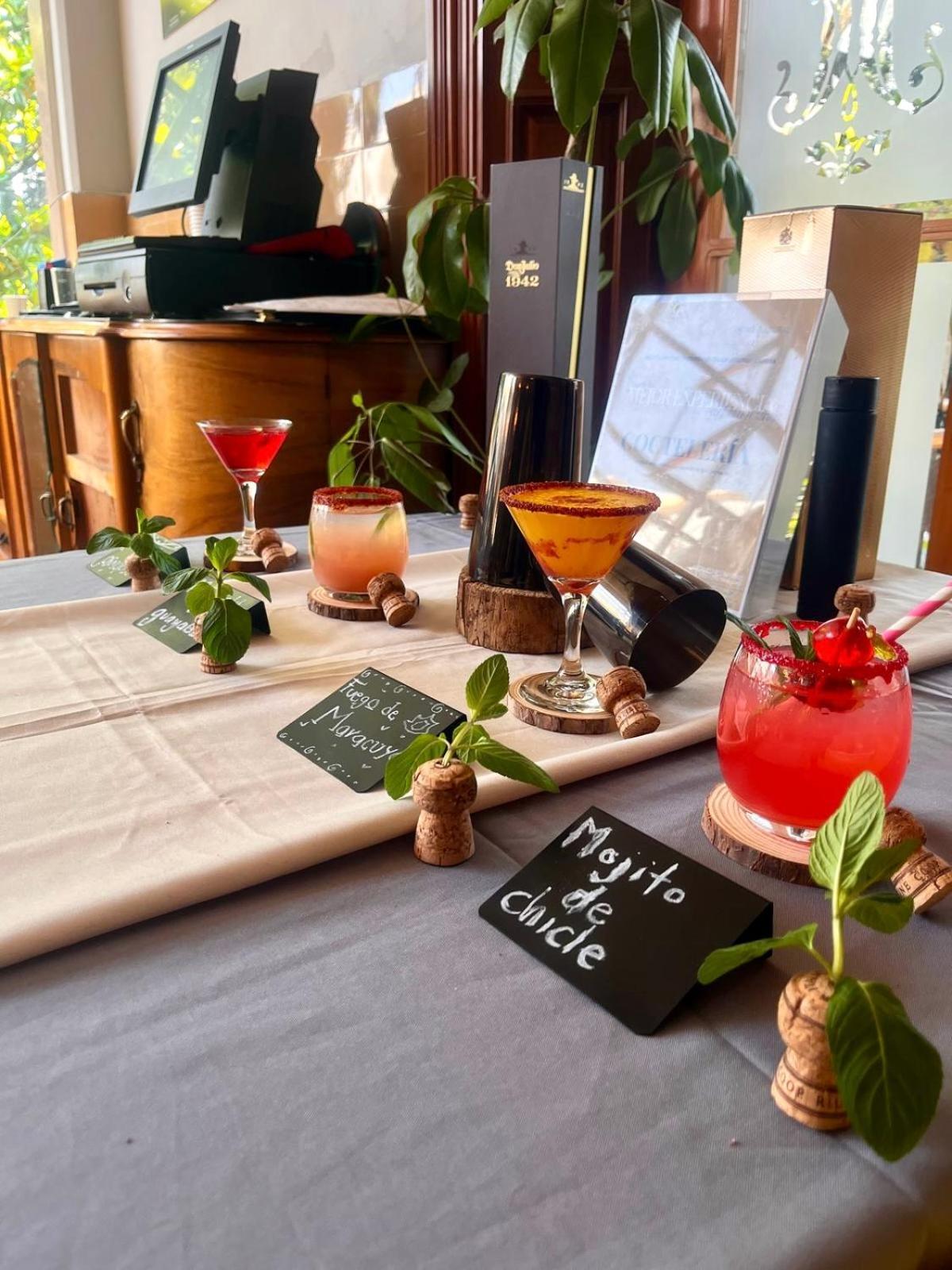 Hotel Express Quinta Soledad 멕시코 시 외부 사진